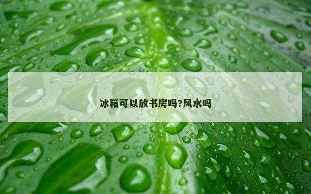 冰箱可以放书房吗?风水吗