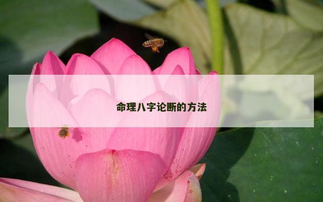 命理八字论断的方法