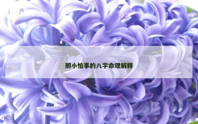 胆小怕事的八字命理解释