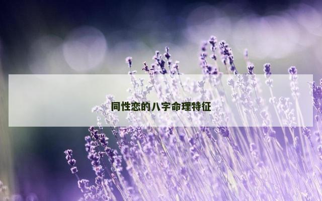 同性恋的八字命理特征