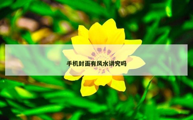手机封面有风水讲究吗