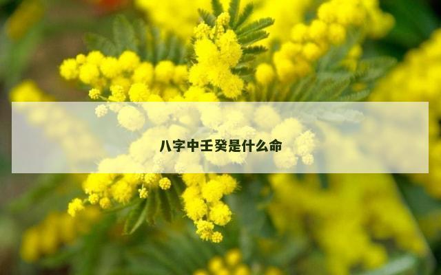 八字中壬癸是什么命