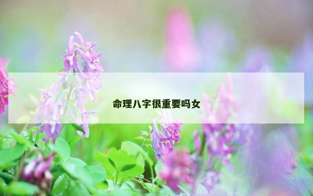 命理八字很重要吗女