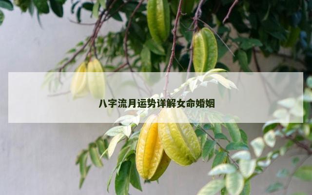 八字流月运势详解女命婚姻