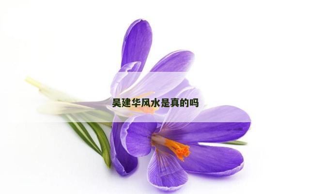 吴建华风水是真的吗