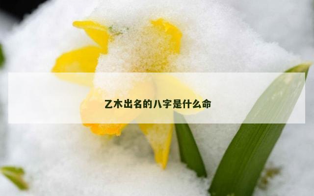 乙木出名的八字是什么命