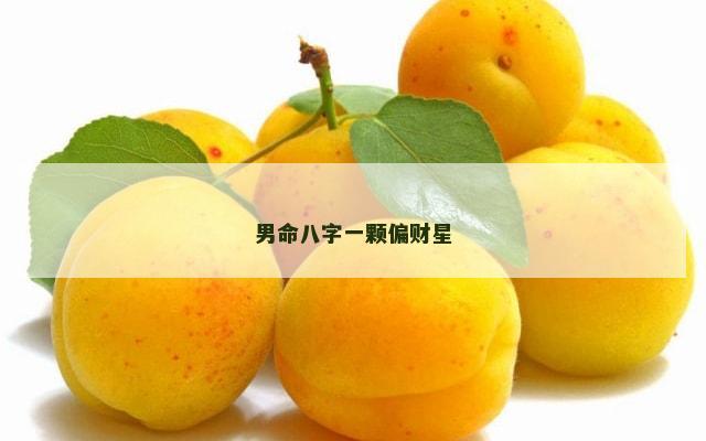 男命八字一颗偏财星