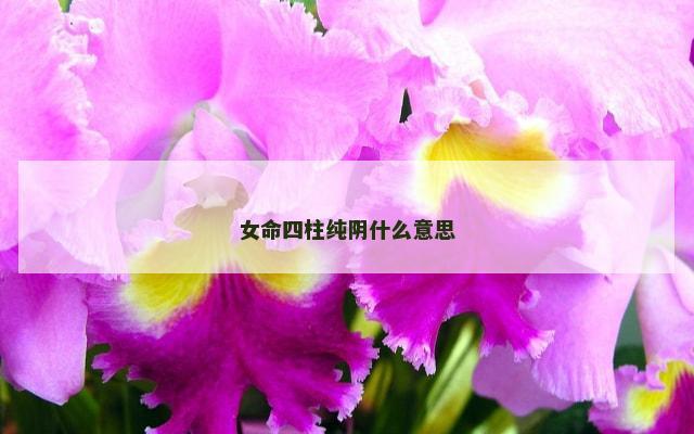 女命四柱纯阴什么意思