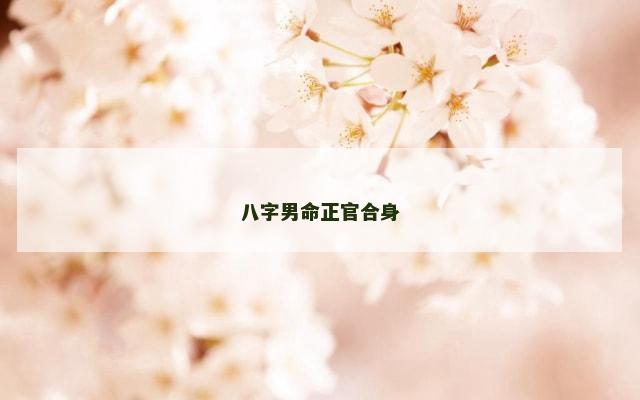 八字男命正官合身