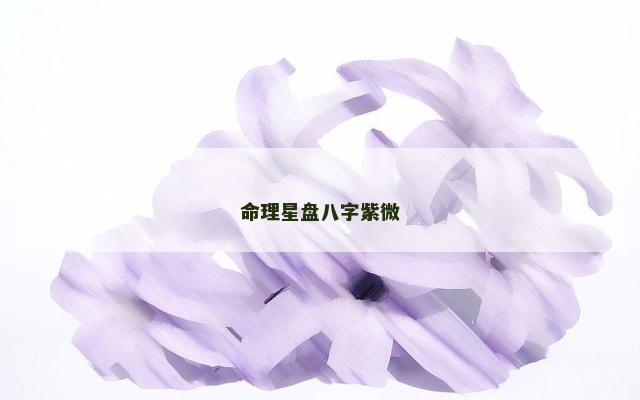 命理星盘八字紫微