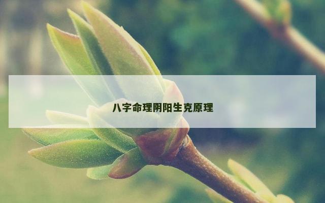 八字命理阴阳生克原理