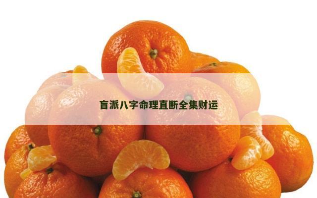 盲派八字命理直断全集财运