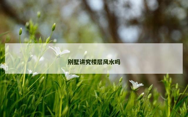 别墅讲究楼层风水吗