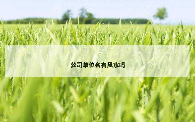 公司单位会有风水吗