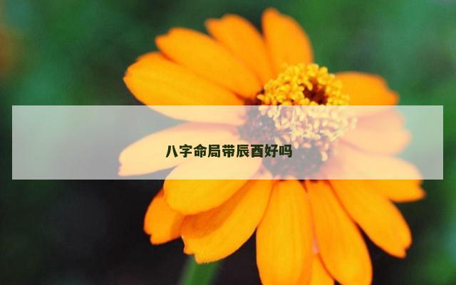 八字命局带辰酉好吗
