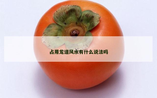 占用龙道风水有什么说法吗