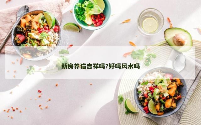 新房养猫吉祥吗?好吗风水吗