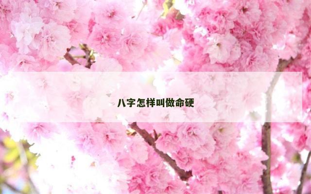 八字怎样叫做命硬