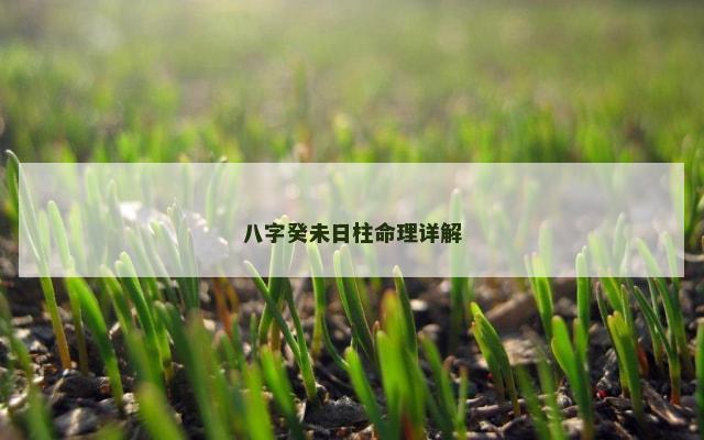 八字癸未日柱命理详解