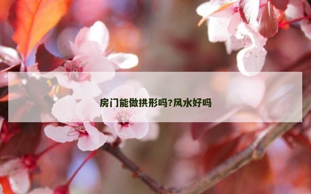 房门能做拱形吗?风水好吗