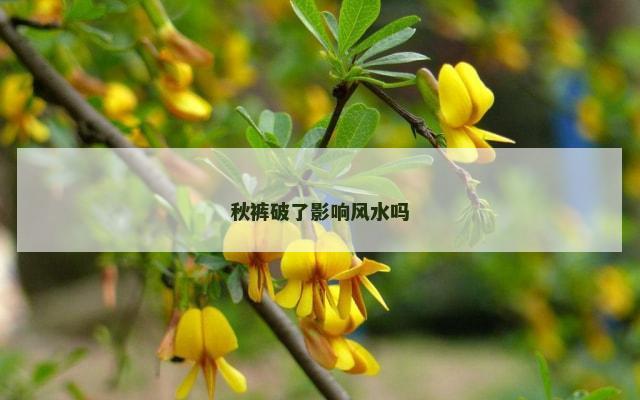 秋裤破了影响风水吗