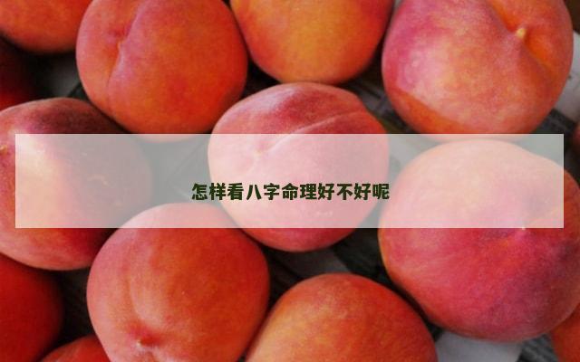 怎样看八字命理好不好呢