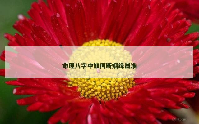 命理八字中如何断姻缘最准