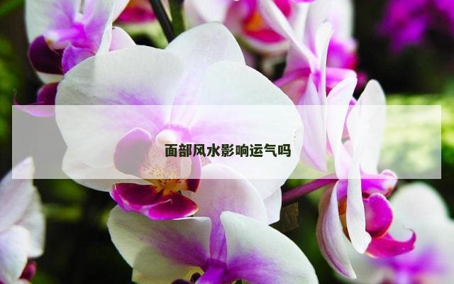 面部风水影响运气吗