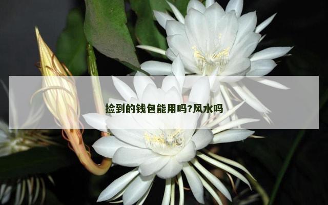捡到的钱包能用吗?风水吗