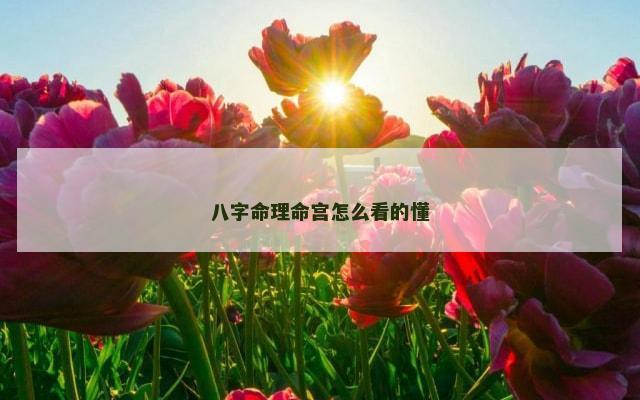 八字命理命宫怎么看的懂