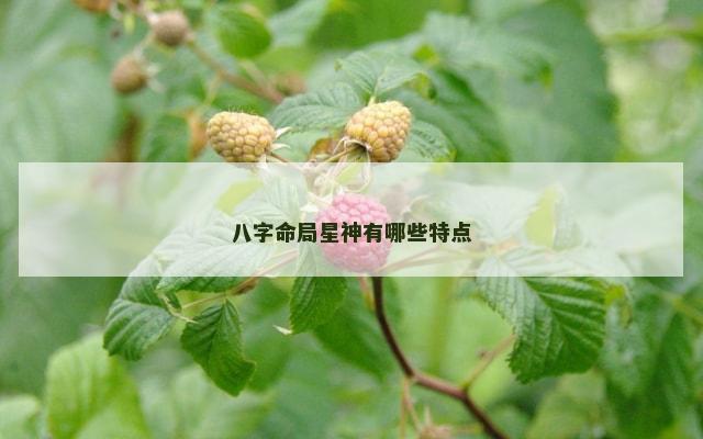 八字命局星神有哪些特点