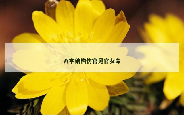 八字结构伤官见官女命