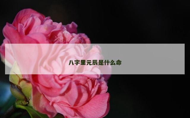 八字里元辰是什么命
