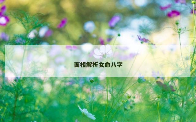 面相解析女命八字