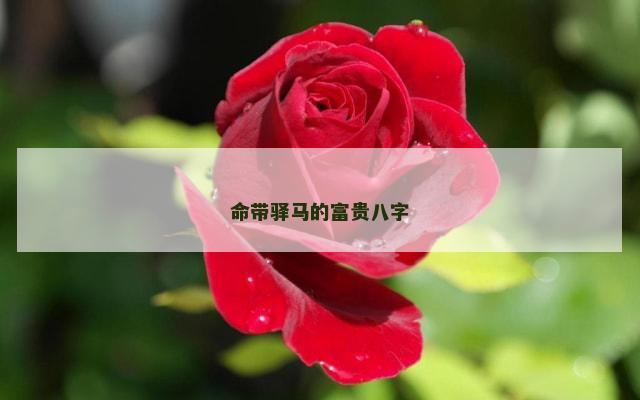命带驿马的富贵八字
