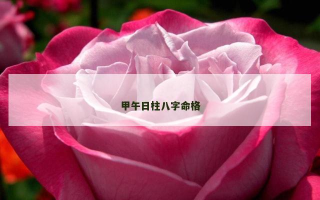 甲午日柱八字命格