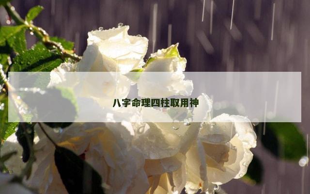 八字命理四柱取用神