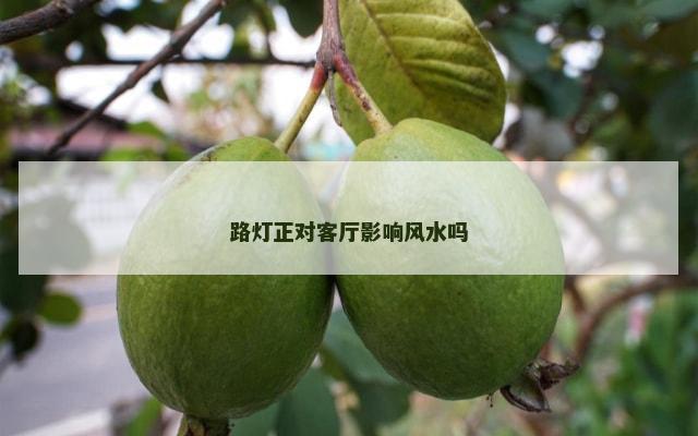 路灯正对客厅影响风水吗