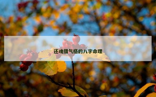还魂借气格的八字命理