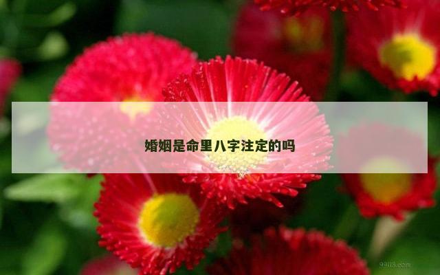 婚姻是命里八字注定的吗