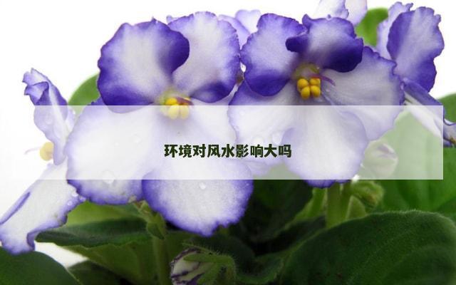 环境对风水影响大吗