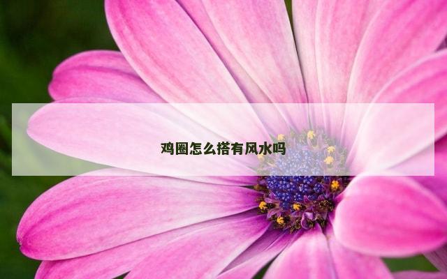 鸡圈怎么搭有风水吗
