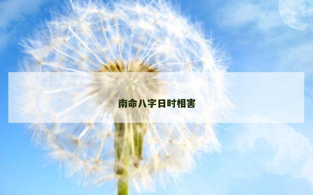 南命八字日时相害