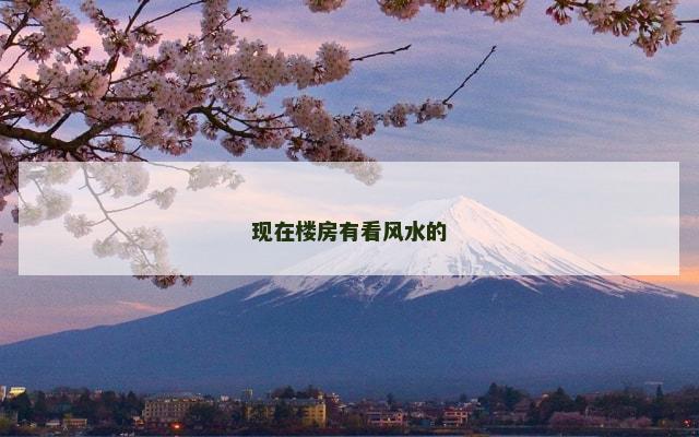 现在楼房有看风水的