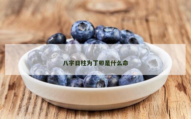 八字日柱为丁卯是什么命