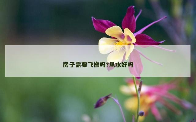 房子需要飞檐吗?风水好吗