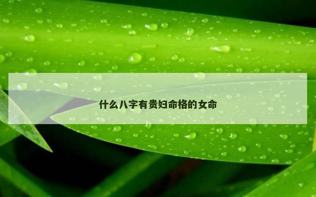 什么八字有贵妇命格的女命