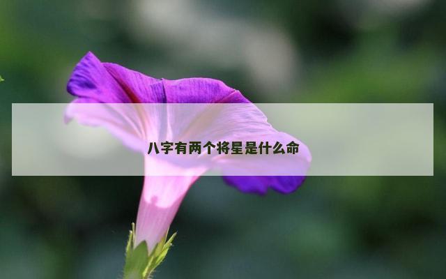 八字有两个将星是什么命