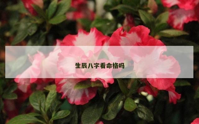 生辰八字看命格吗