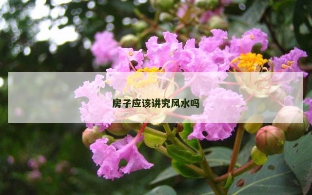 房子应该讲究风水吗